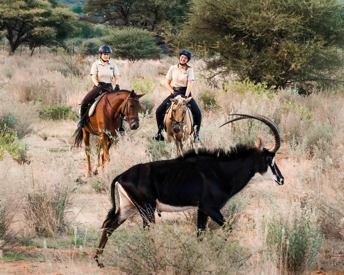 Gabus Safari Lodge Otavi Exteriör bild