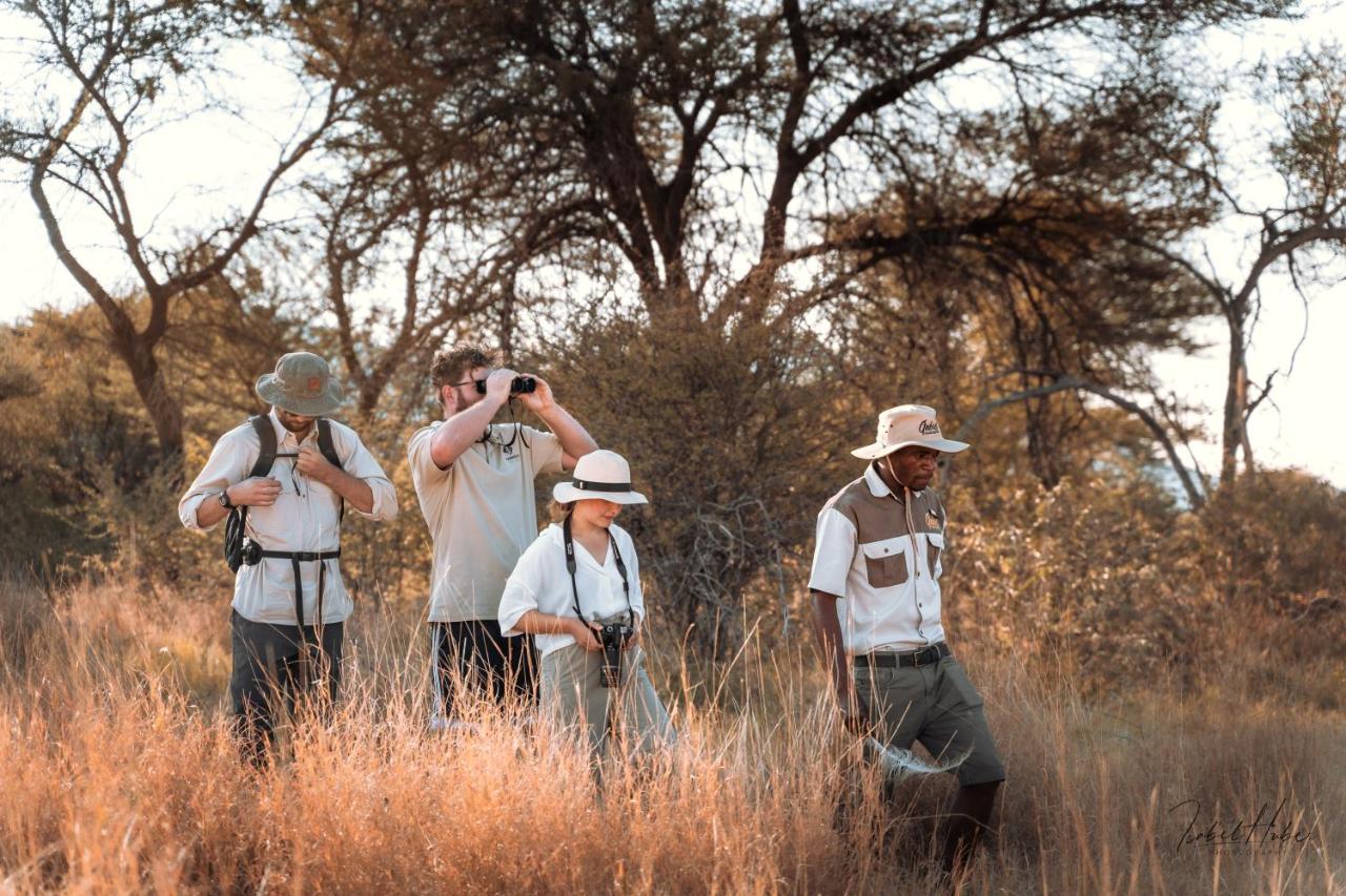 Gabus Safari Lodge Otavi Exteriör bild