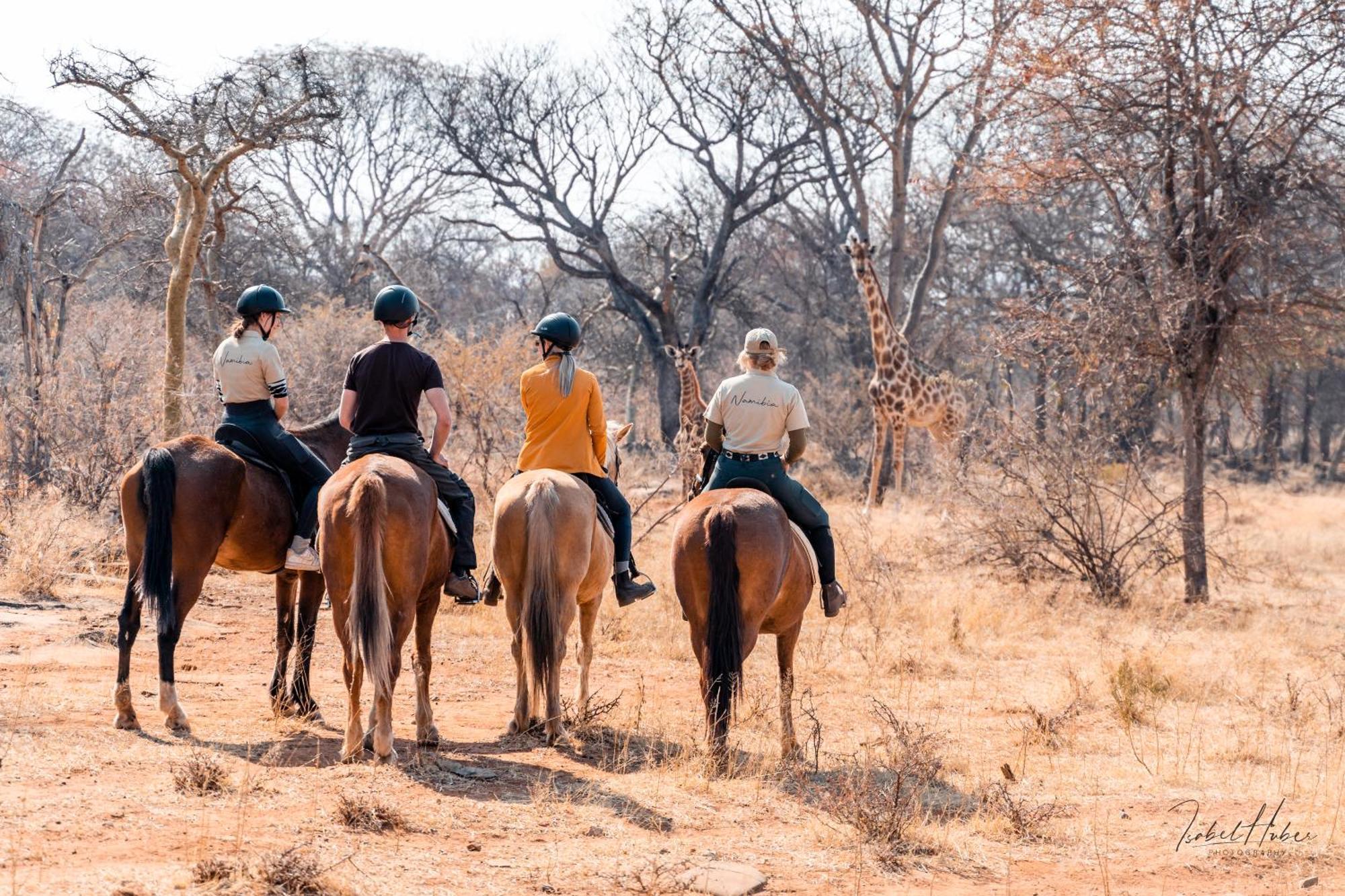 Gabus Safari Lodge Otavi Exteriör bild